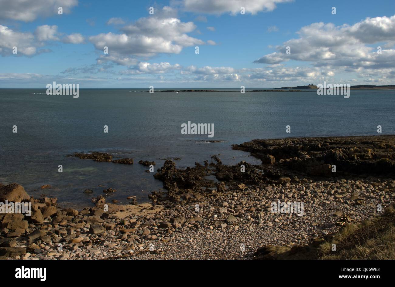 Landschaft mit weit entferntem Dunstanburgh Castle vom felsigen Vorland von Low Newton in Northumberland aus gesehen Stockfoto