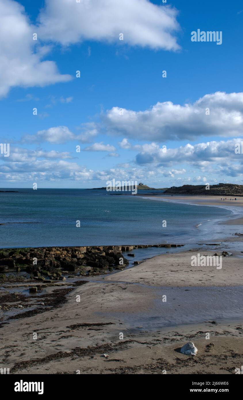 Porträtaufnahme eines langen, kurvigen Strandes, der sich von Low Newton bis zu einem weit entfernten Dunstanburgh Castle in Northumberland erstreckt Stockfoto
