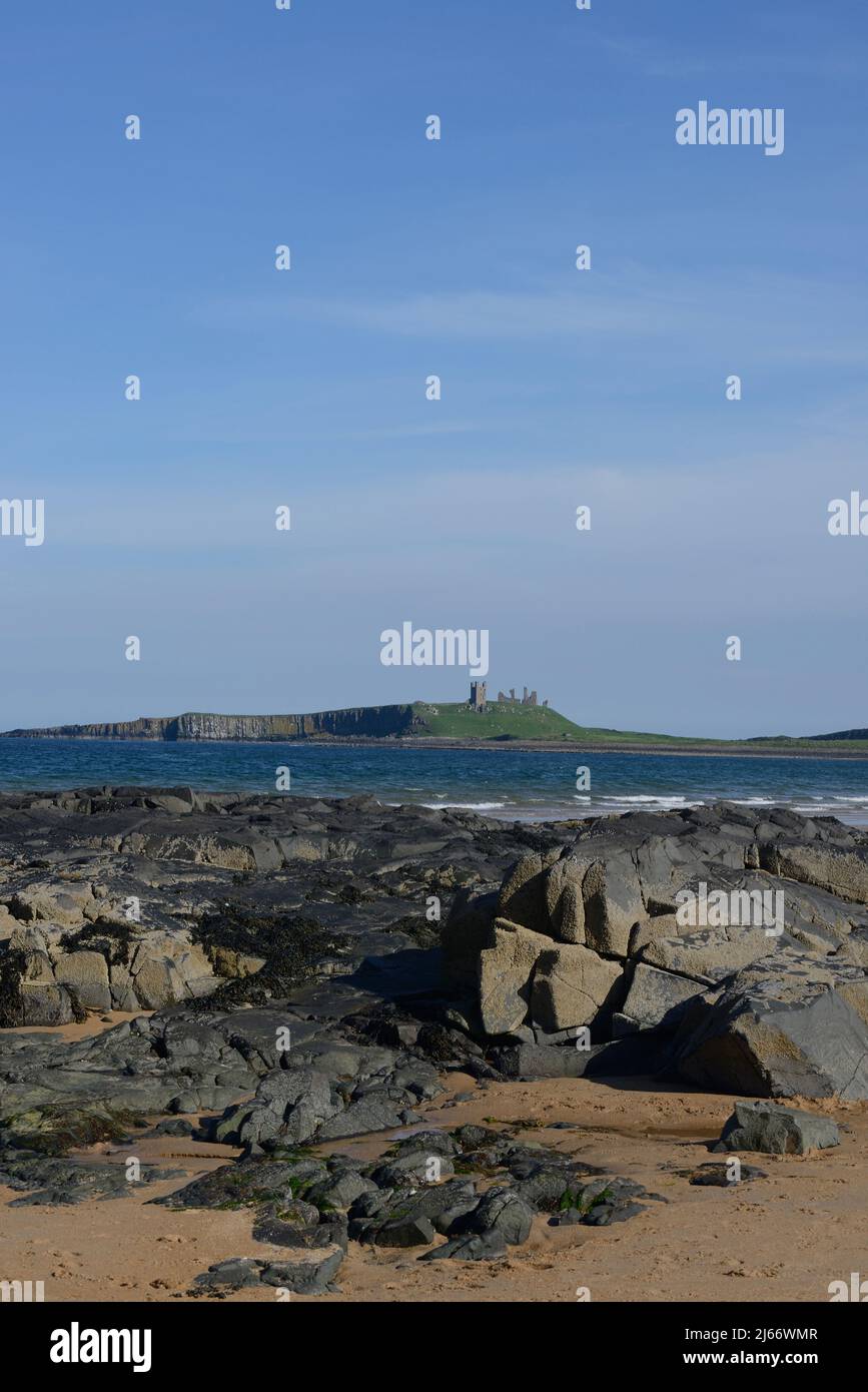 Porträtaufnahme mit einem entfernten Schloss von Dunstanburgh und einem felsigen Basalt-Vordergrund und einem ruhigen Meer im Frühsommer Stockfoto