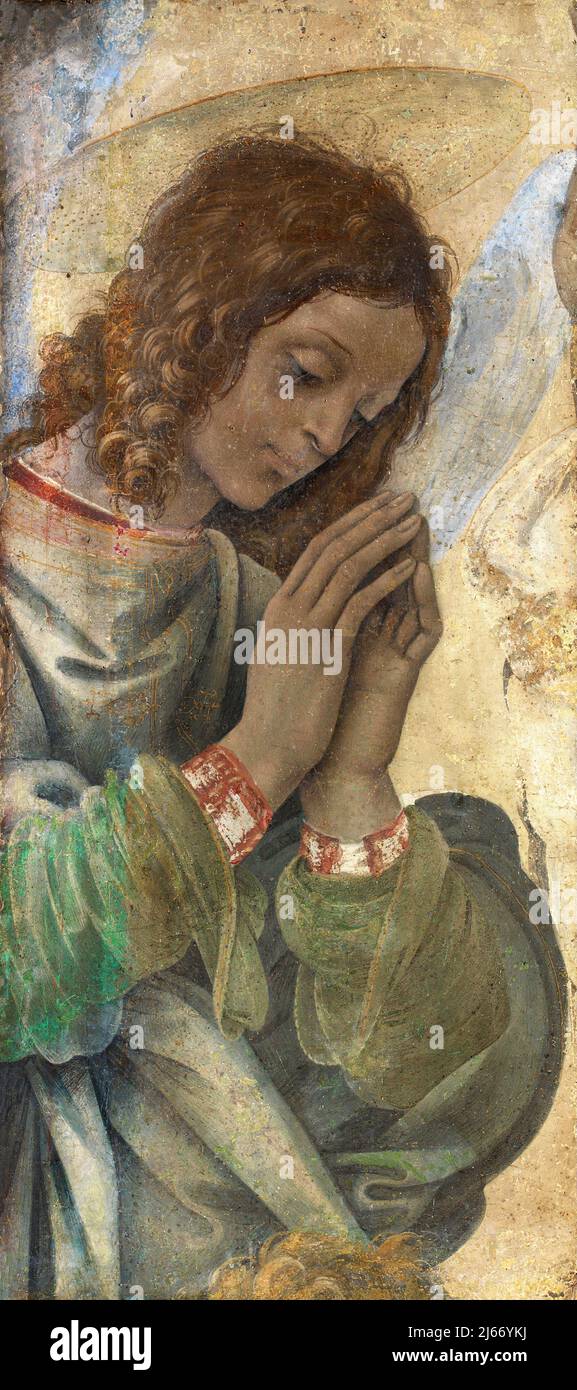 An Angel Adoring von Filippino Lippi (1457-1504), Tempera auf Holz, c. 1495 Stockfoto