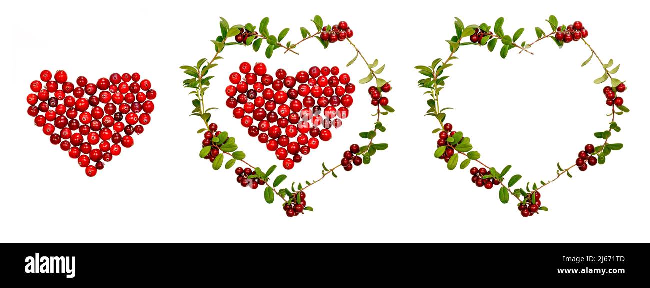 Horizontales Banner. Drei Herzen aus Beeren und Stielen sind auf weißem Hintergrund isoliert. Stockfoto