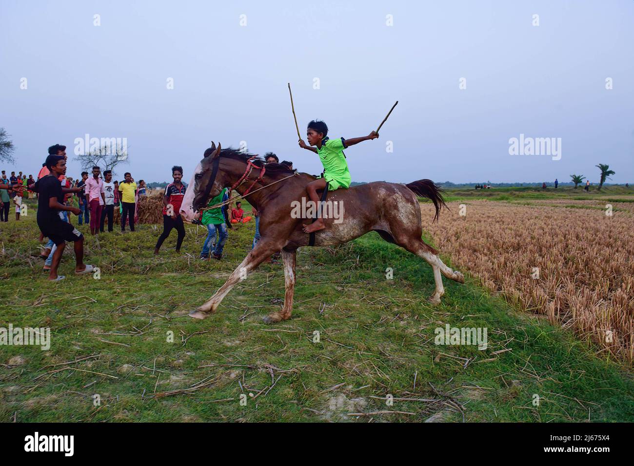 Ein junger Jockey reitet auf einem Pferd während eines Rural Horse Race. Nach der Erntezeit werden jedes Jahr in diesen Feldern Pferderennen veranstaltet. Die Jockeys, die Kinder sind, reiten Pferde ohne jegliche Schutz- oder Sicherheitsausrüstung. Stockfoto