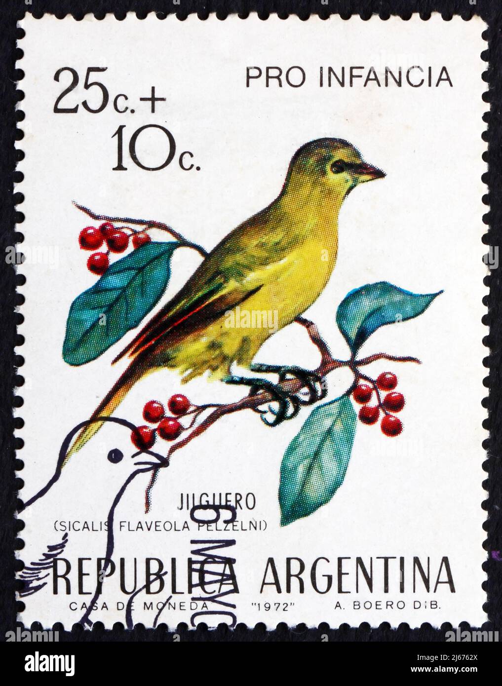 ARGENTINIEN - UM 1972: Eine in Argentinien gedruckte Marke zeigt Safranfinch, Sicalis Flaveola, Bird, um 1972 Stockfoto