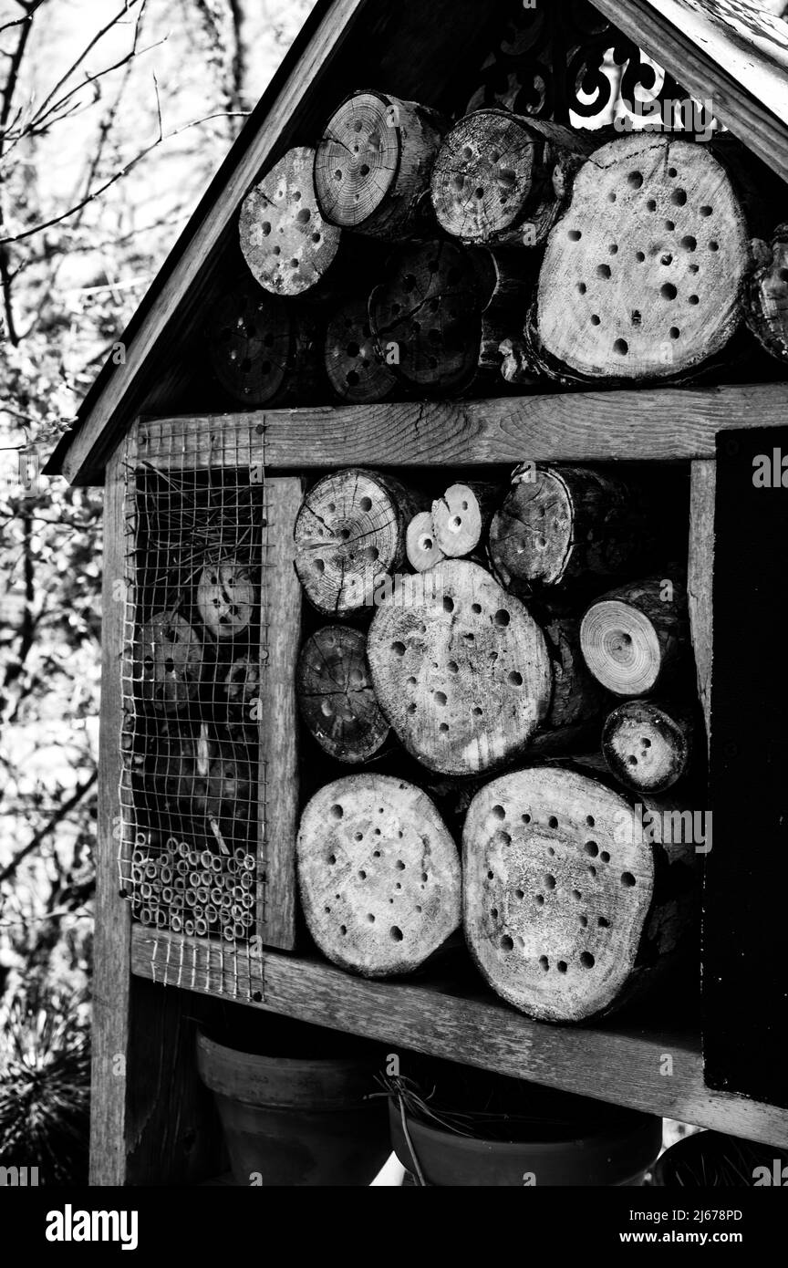 Habitatstruktur von Bienen und Wespen mit gebohrten Löchern, in denen Insekten überwintern und nisten können. Stockfoto