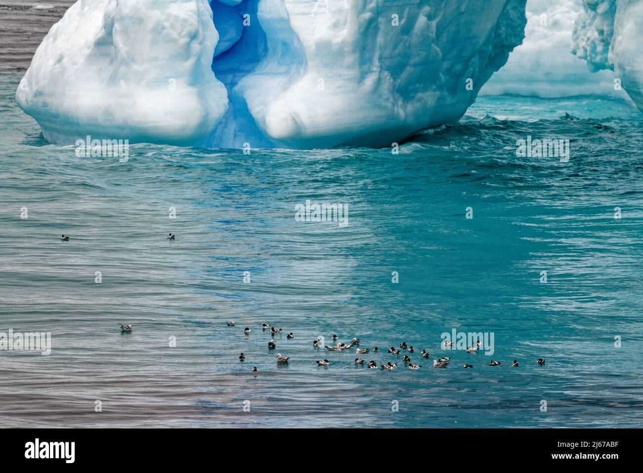 Antarktis, Antarktische Halbinsel, Palmer-Archipel, Neumayer-Kanal - Globale Erwärmung - Märchenlandschaft - Eisberg in der Bransfield-Straße Stockfoto
