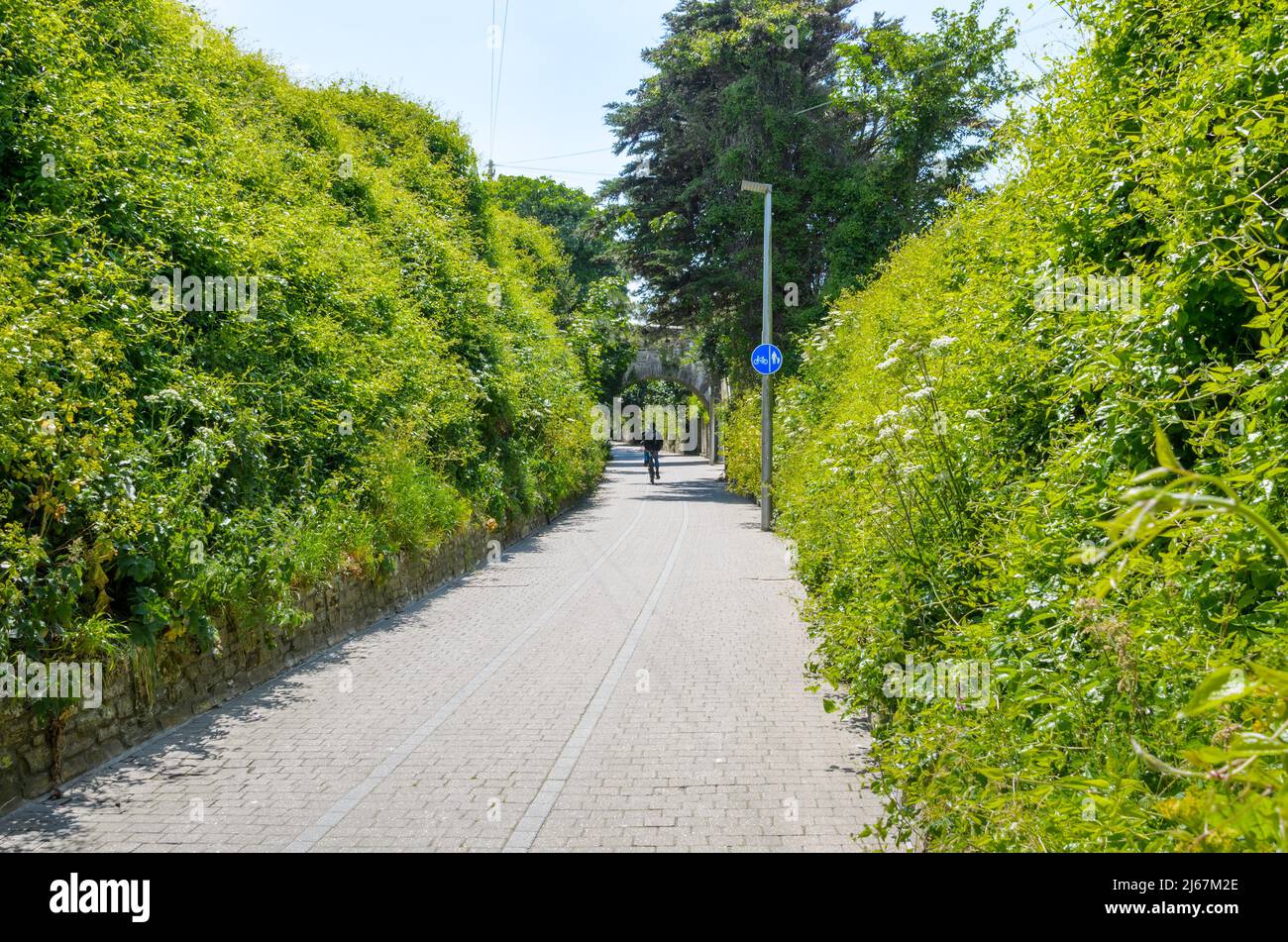 Gepflasterter Weg für Fußgänger und Radfahrer, der zwischen grasbewachsenen Böschungen verläuft Stockfoto
