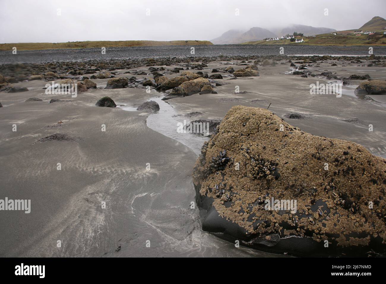 Isle of Skye: Staffin auf der Trotternish Peninsula - Blick auf Digg. Beachten Sie die Muscheln auf dem Felsen im Vordergrund Stockfoto