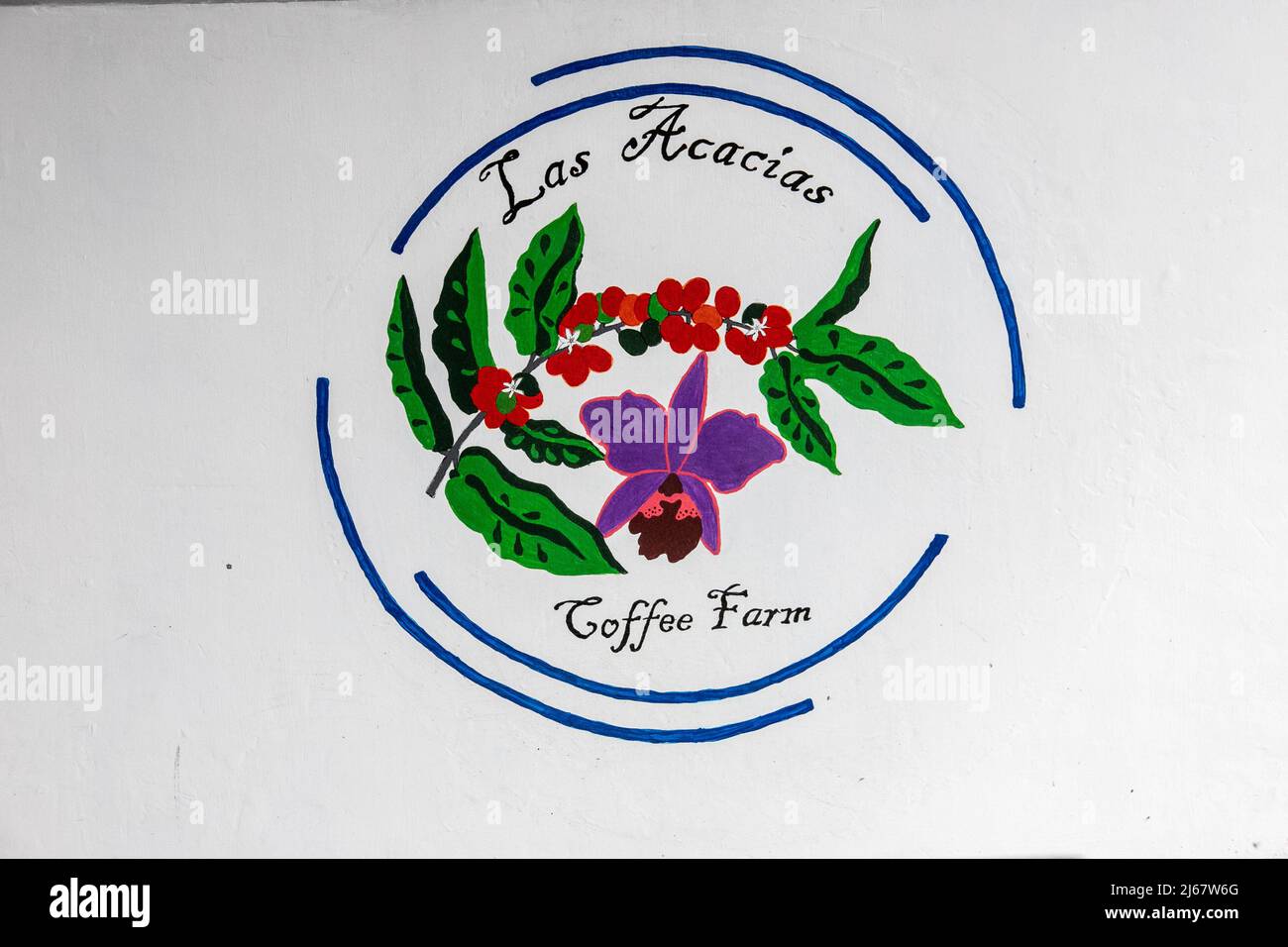 Las Acacias Coffee Farm, Salento, Quindío, Kolumbien Stockfoto