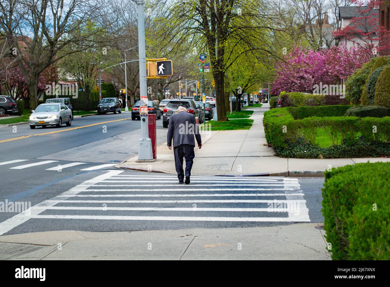 Ein älterer Mann überquert die Straße auf dem Fußgängerweg Stockfoto