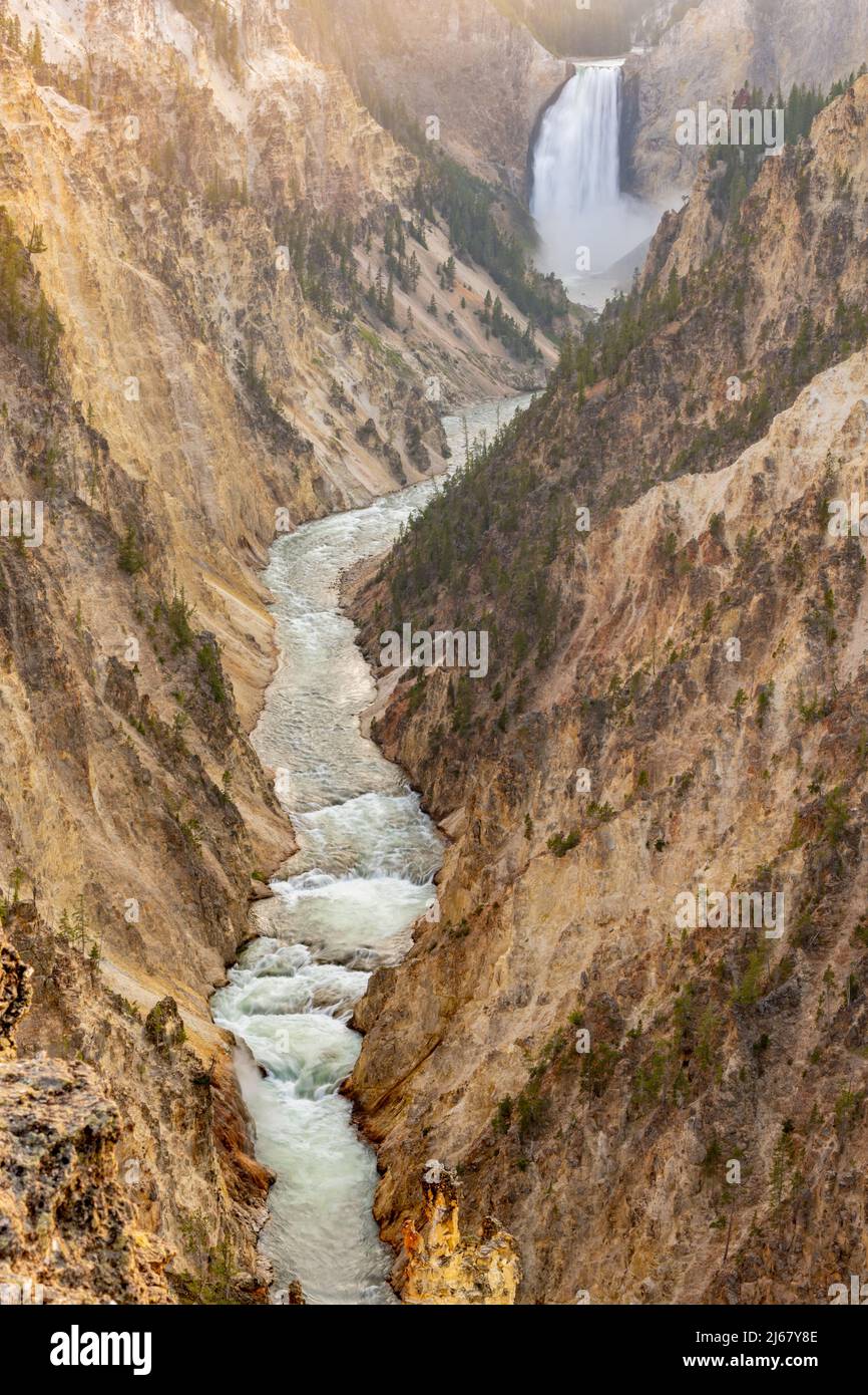 Der Yellowstone Canyon leuchtet am Abend des Sommers mit dem Fluss unten um den Sonnenuntergang herum Stockfoto