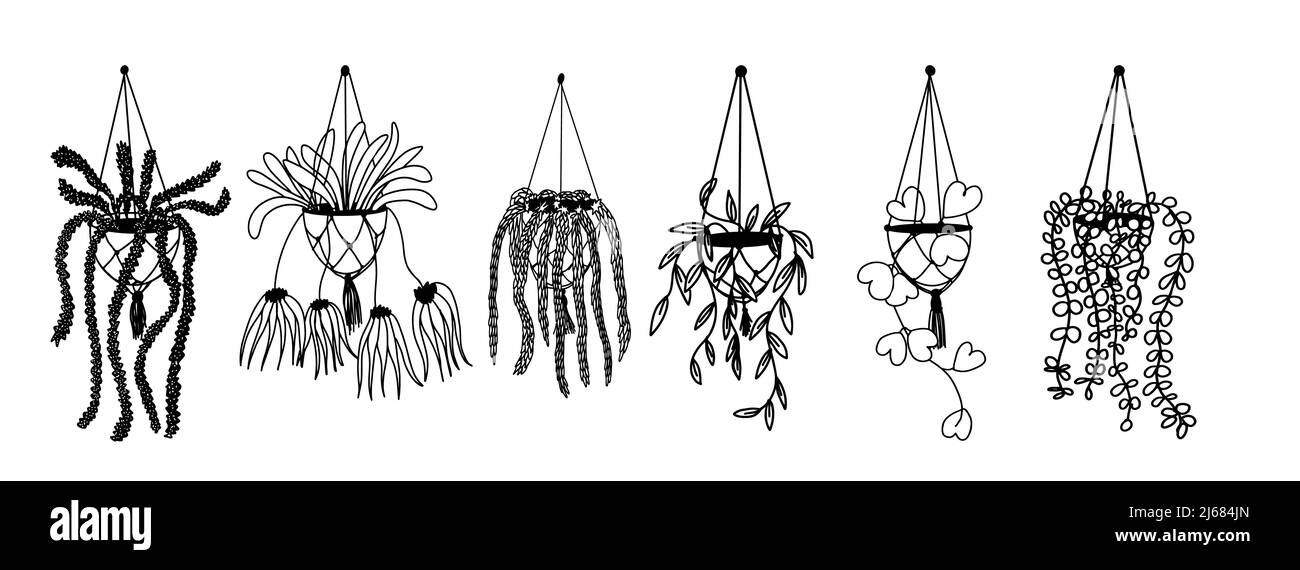 Ein Satz von ampel Blumen in hängenden Töpfen, Wohnkultur. Handgezeichnete, lineare schwarz-weiße Skizze. Lockige Blüten. Vektorgrafik Stock Vektor