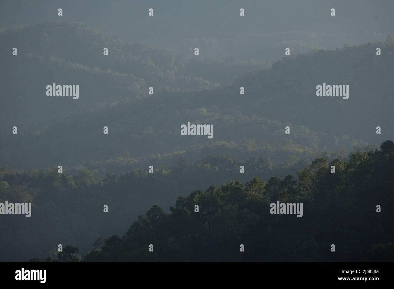 Drohnenartige Luftaufnahme eines malerischen Bergwaldes im Norden Thailands Stockfoto