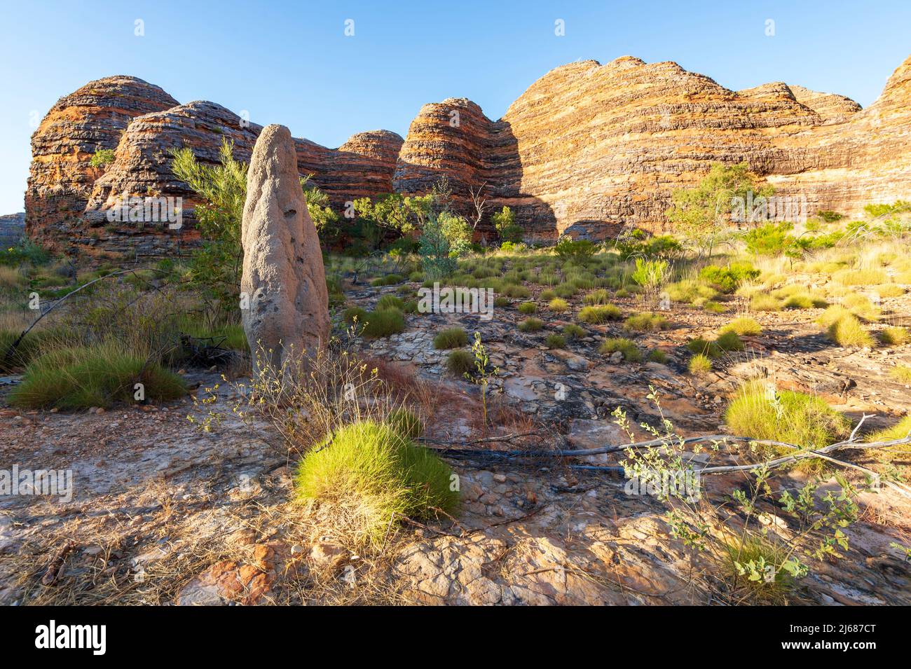 Termitenhügel und Spinifex in den Sandsteinhügeln des Purnululu National Park oder Bungle Bungles, ein UNESCO-Weltkulturerbe in der Kimberley, Western Stockfoto