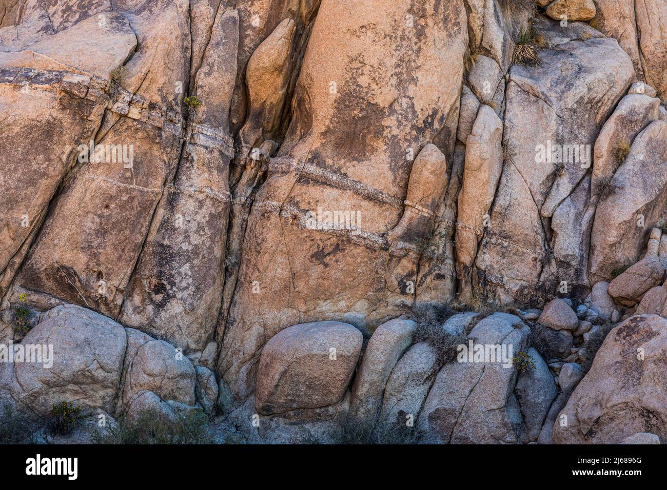 Felsformationen mit einem doppelt diagonalen Deich, der durch den Wüstengranit in der Nähe der Indian Cove und des Rattlesnake Canyon, dem Tagesnutzungsgebiet Joshua Tree Nation, schneidet Stockfoto