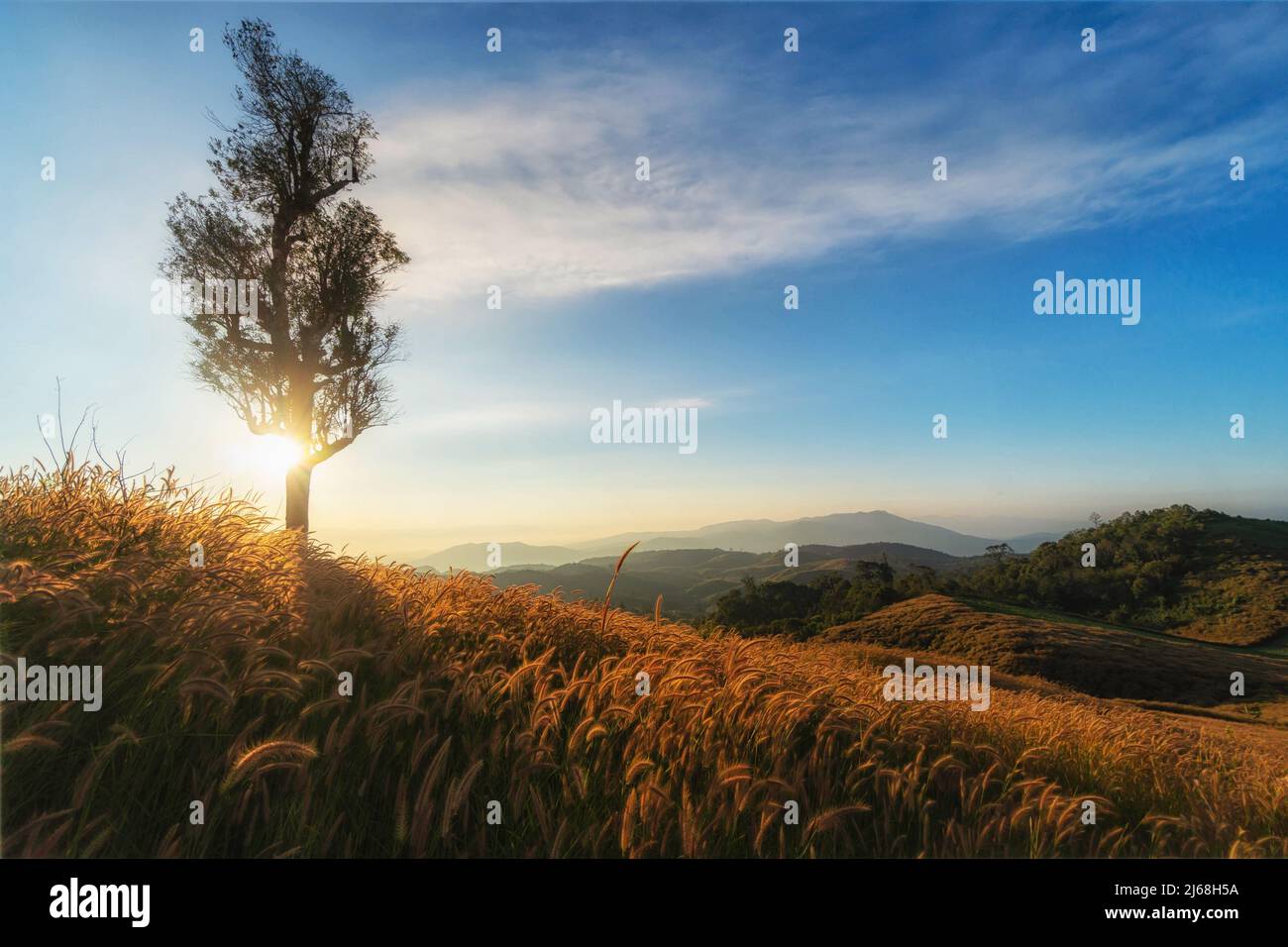 Schöner Sonnenaufgang mit Grasfeld Landschaft von unseen Aussichtspunkt am Doi BaJoKow, Chiang Mai, Thailand Stockfoto