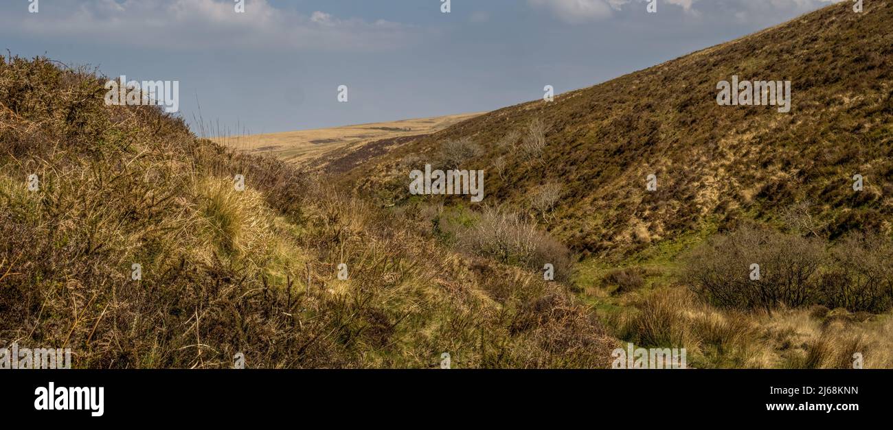 Exmoor-Landschaft, allgemeiner Blick auf sanfte Hügel und Täler. Stockfoto