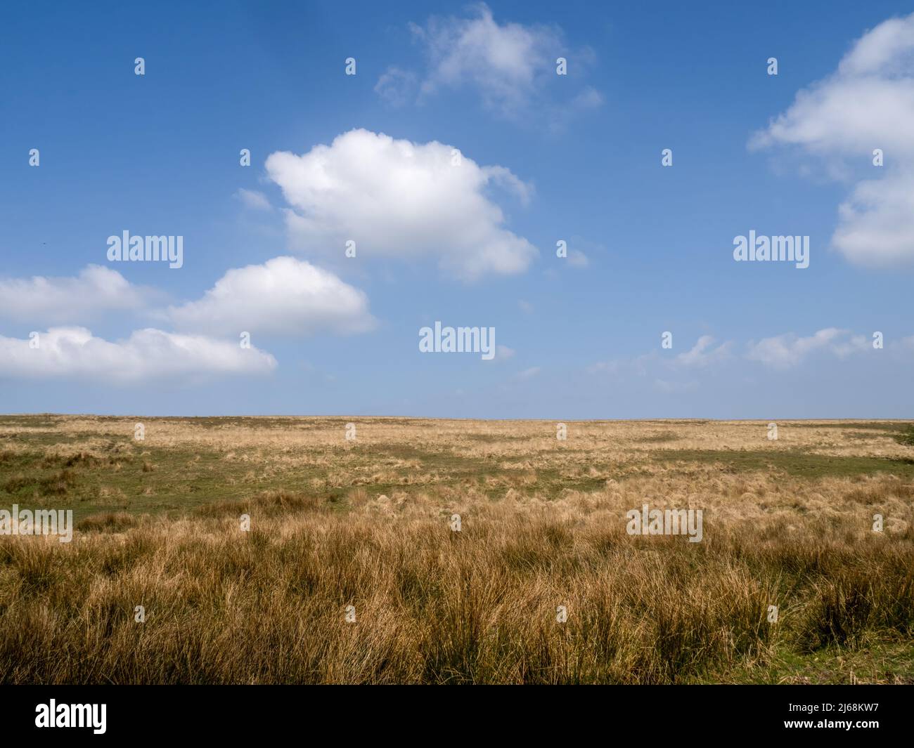 Exmoor Moorlandschaft Horizont im April. Stockfoto
