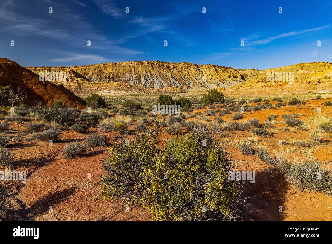 Der spektakuläre Swap Mesa vom Headquarters Canyon Trail entlang der Notom-Bullfrog Road im südlichen Capitol Reef National Park, Utah, USA. Stockfoto