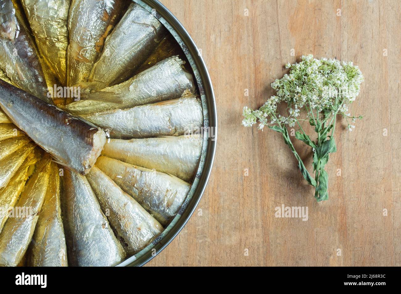 Sardinenkann auf einem alten verwitterten Holztisch und einer Pflanze mit kleinen weißen Blättern. Essen und Fisch. Stockfoto