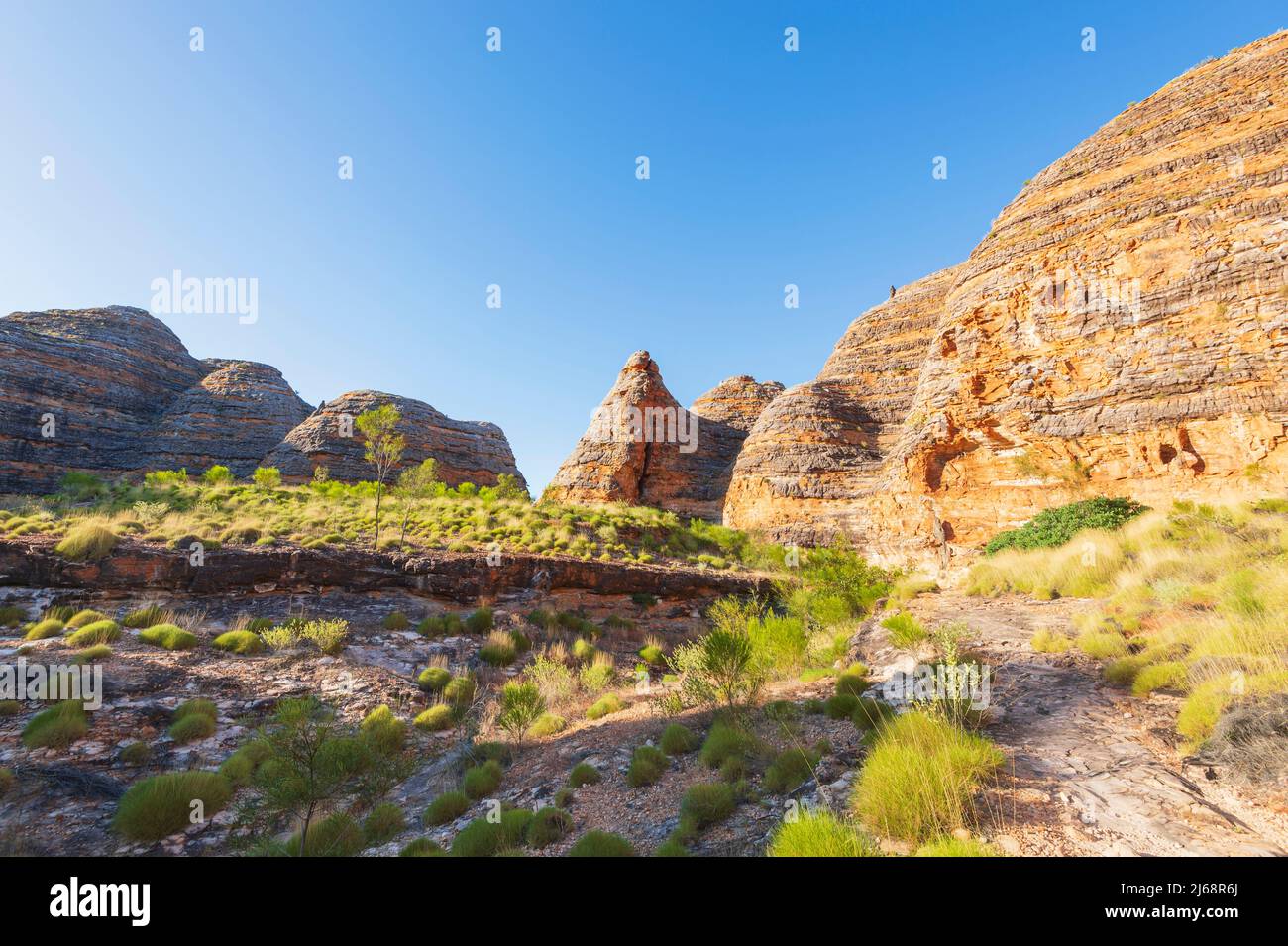 Wanderweg im Purnululu National Park oder Bungle Bungles, einem UNESCO-Weltkulturerbe in der Kimberley, Western Australia, WA, Australien Stockfoto