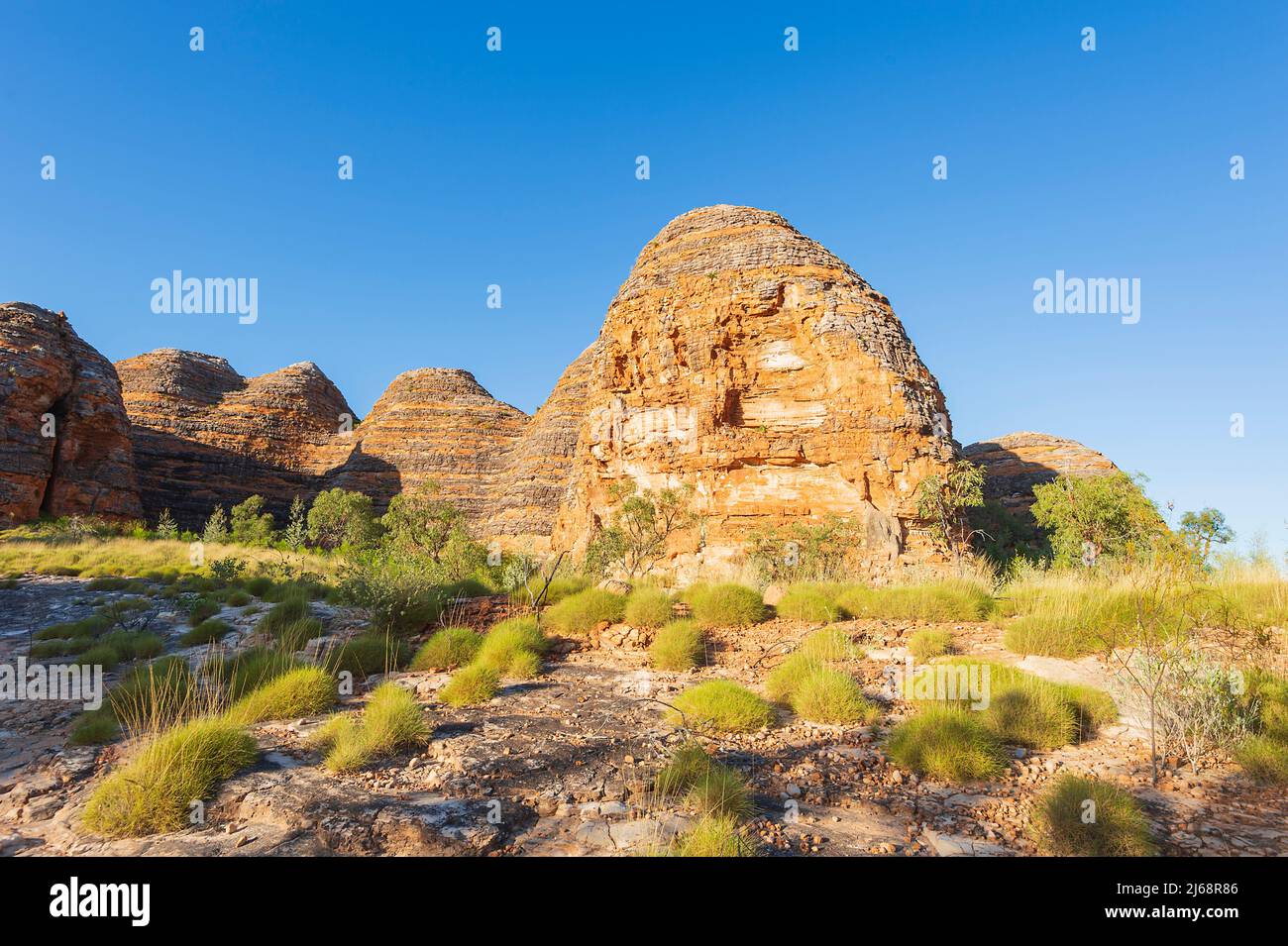 Eine typische Karstkuppel aus Sandstein im Purnululu National Park oder Bungle Bungles, einem UNESCO-Weltkulturerbe in der Kimberley, Westaustralien, Stockfoto