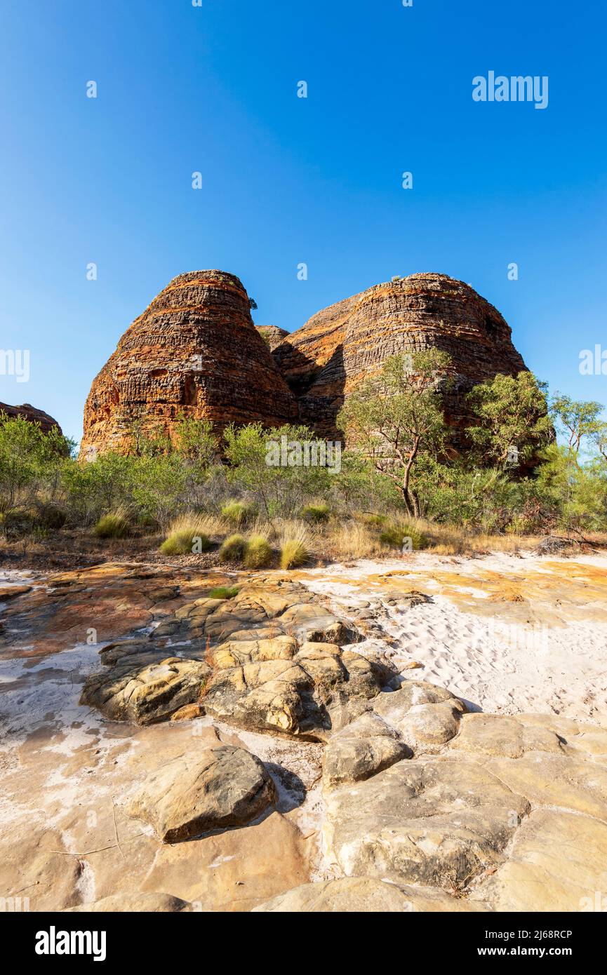 Vertikaler Blick auf die Karstkuppen aus Sandstein und das trockene Creekbed im Purnululu National Park oder Bungle Bungles, einem UNESCO-Weltkulturerbe in der Kimberley, W Stockfoto