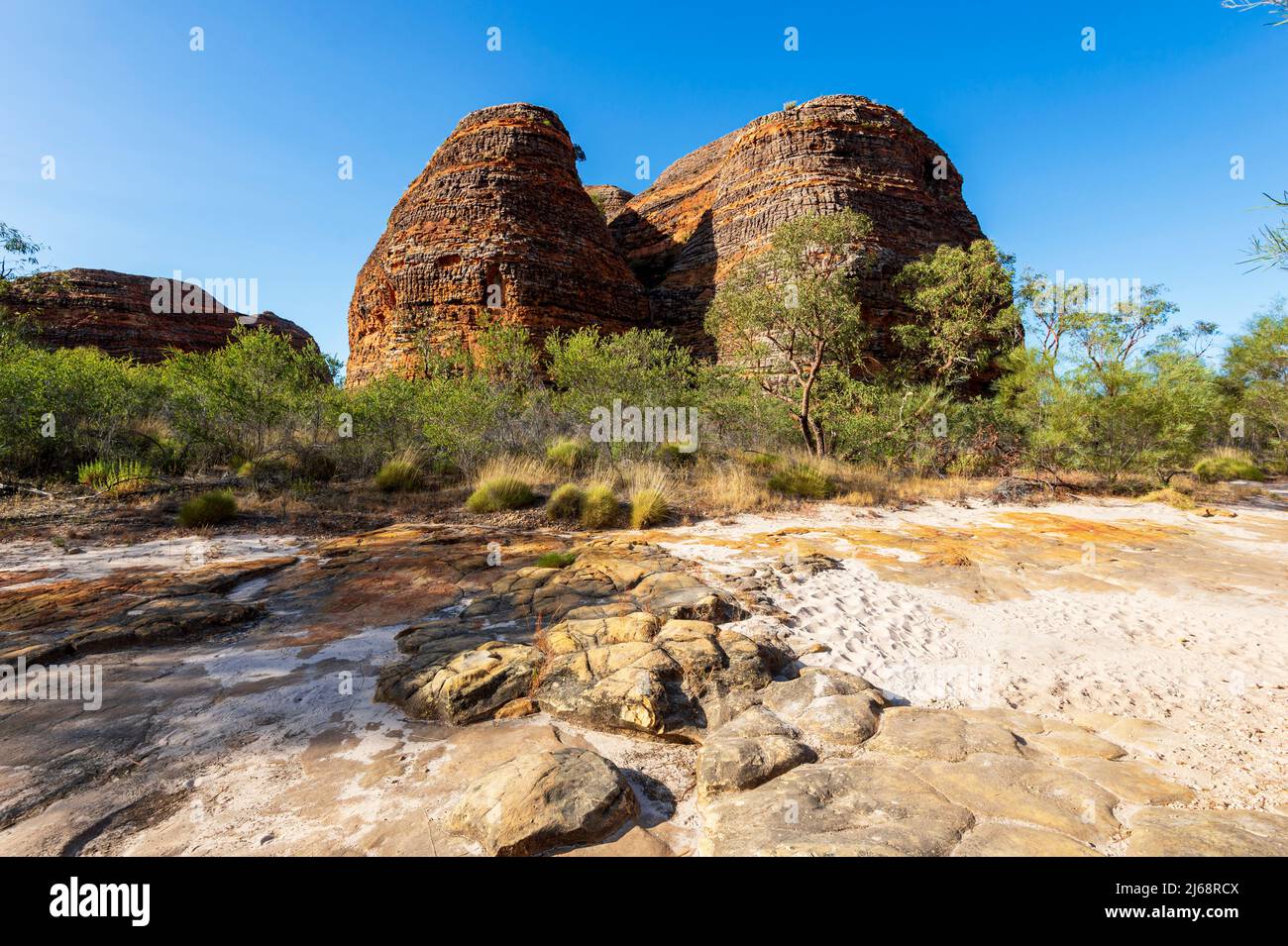 Typische Karstkuppeln aus Sandstein und trockenes Creekbed im Purnululu National Park oder Bungle Bungles, einem UNESCO-Weltkulturerbe in der Kimberley, Western Au Stockfoto