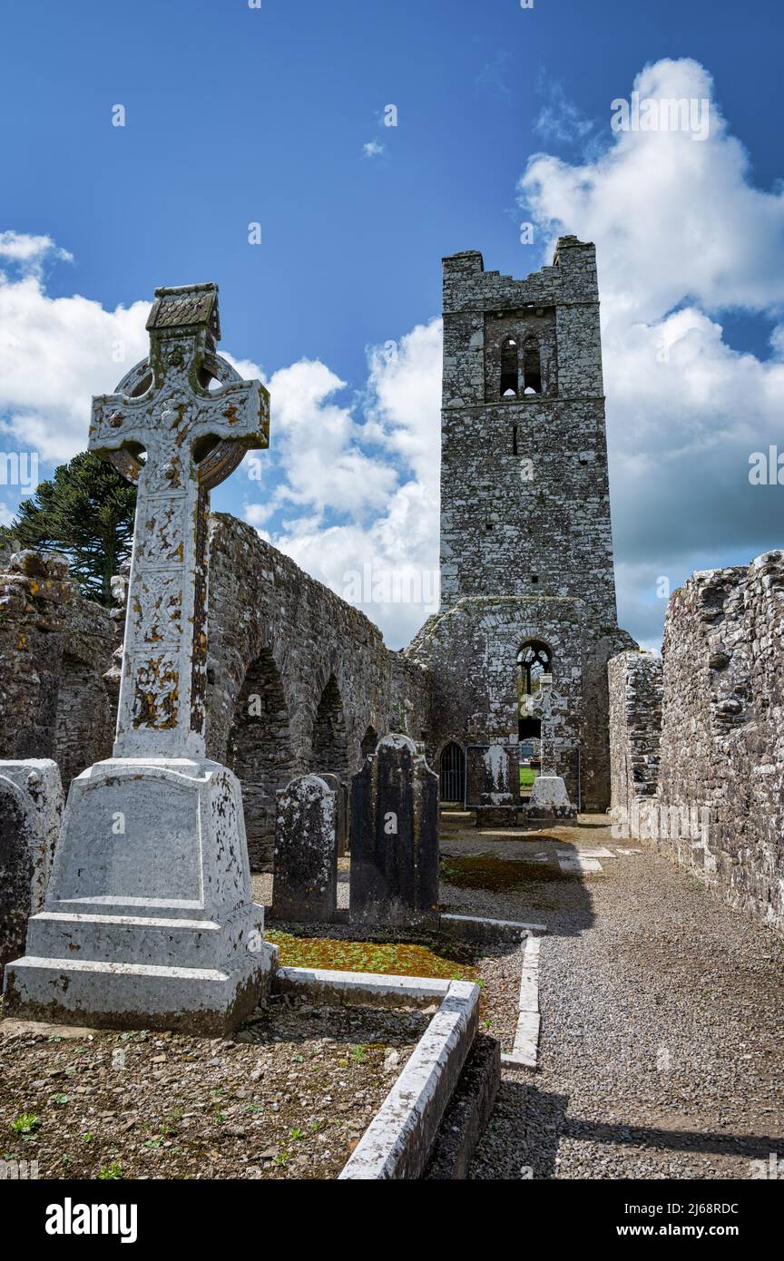 Gaves und irische Grabsteine in den Ruinen der Slane Abbey in der Grafschaft Meath Irland. Stockfoto