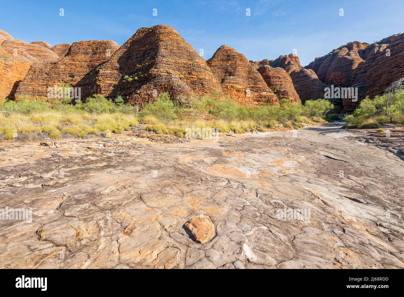 Blick auf typische Karstkuppeln aus Sandstein und trockene Creekbed im Purnululu National Park oder Bungle Bungles, ein UNESCO-Weltkulturerbe in der Kimberley, We Stockfoto