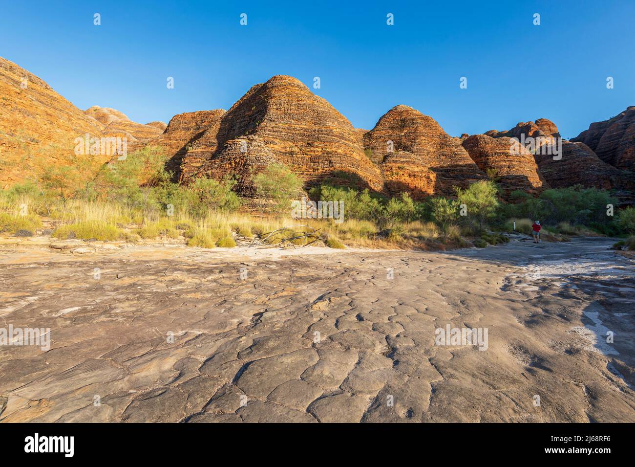 Typische Karstkuppeln aus Sandstein und trockenes Creekbed im Purnululu National Park oder Bungle Bungles, einem UNESCO-Weltkulturerbe in der Kimberley, Western Au Stockfoto
