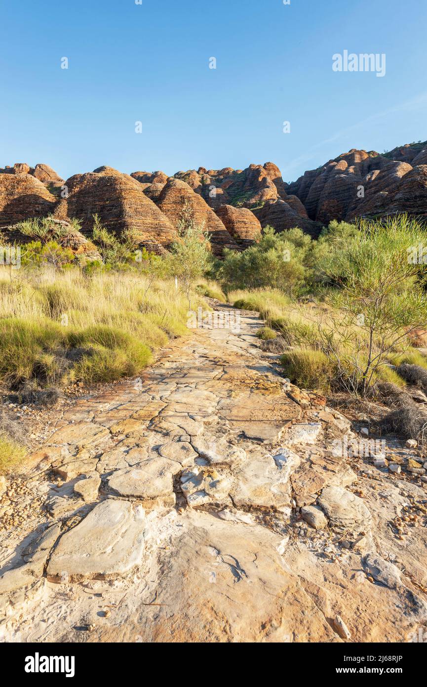 Ein Wanderweg durch den Purnululu National Park oder Bungle Bungles, ein UNESCO-Weltkulturerbe in der Kimberley, Western Australia, WA, Australien Stockfoto
