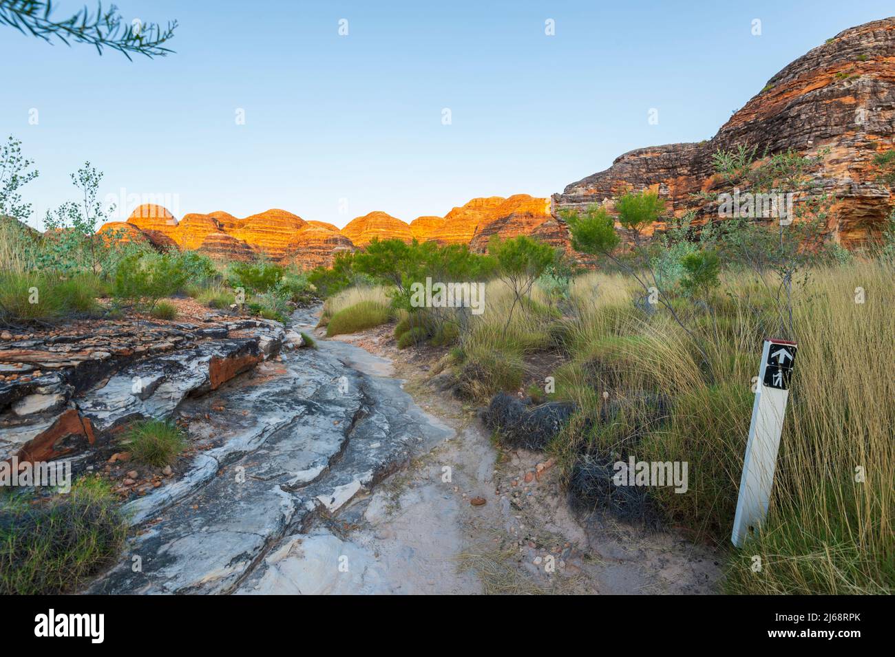 Ein Wanderweg bei Sonnenaufgang durch den Purnululu National Park oder Bungle Bungles, ein UNESCO-Weltkulturerbe in der Kimberley, Western Australia, WA, Au Stockfoto