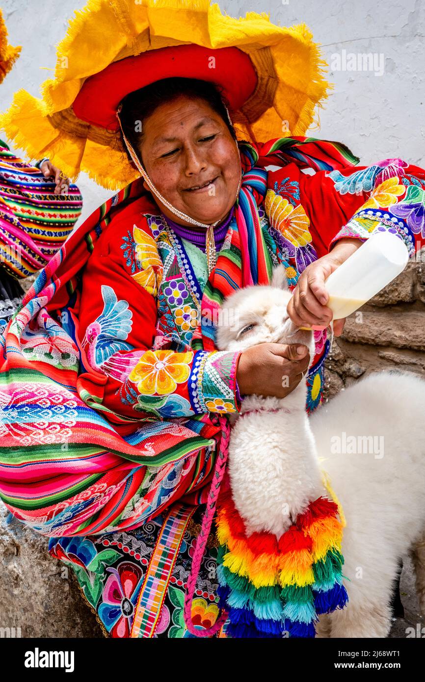 Alpaca traditional costume -Fotos und -Bildmaterial in hoher Auflösung –  Alamy