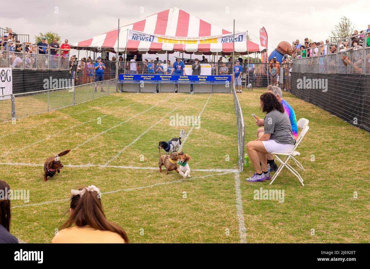 Buda, Texas 2022 Wiener Dog Festival Stockfoto