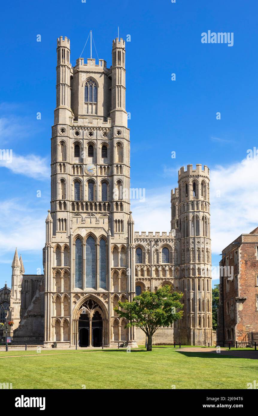 Ely Cathedral (Cathedral Church of the Holy and Undivided Trinity) aus Palace Green, Ely, Cambridgeshire, England, Großbritannien Stockfoto