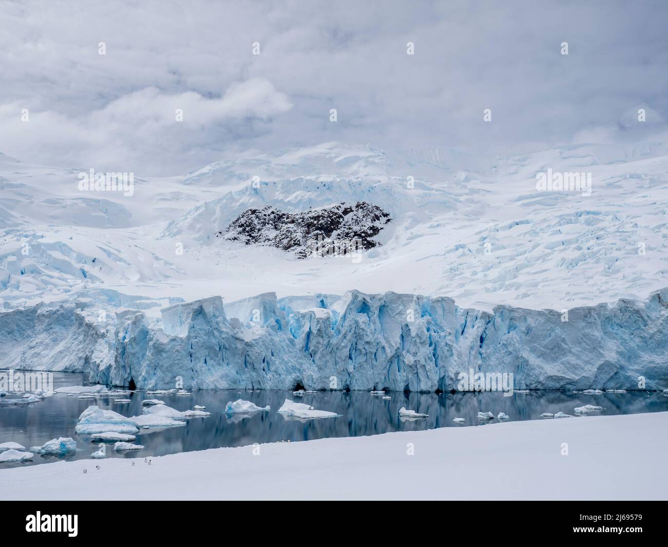 Ein aktiver Gletscher vor Neko Harbour, Antarktis, Polarregionen Stockfoto
