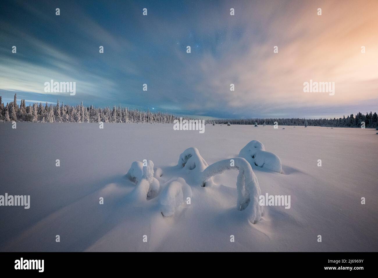 Dramatischer Nachthimmel über dem schneebedeckten Wald und gefrorenen Bäumen, ISO Syote, Lappland, Finnland, Europa Stockfoto