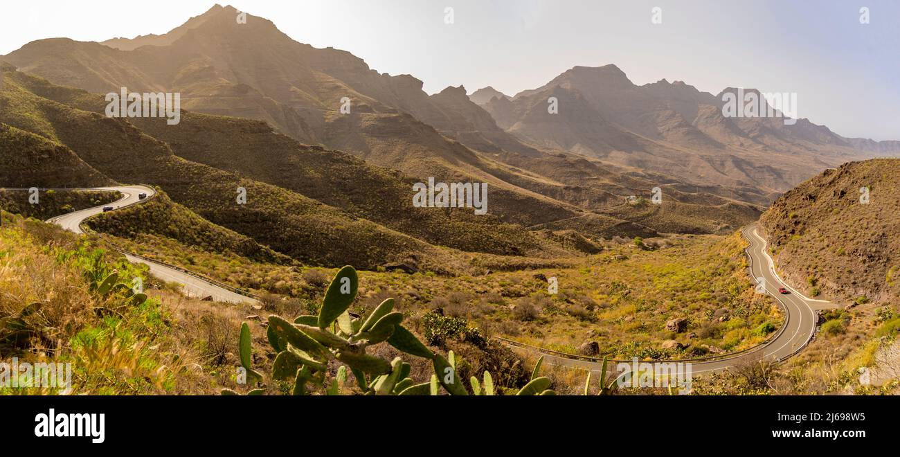 Blick auf Straße und Flora in der Berglandschaft bei Tasarte, Gran Canaria, Kanarische Inseln, Spanien, Atlantik, Europa Stockfoto