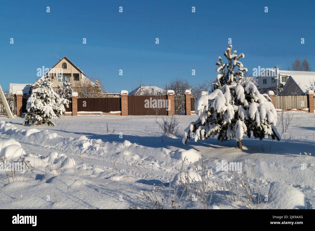 Ferienhaus in einem Pinienwald im Winter. Schöne Landschaft gegen den blauen Himmel Stockfoto