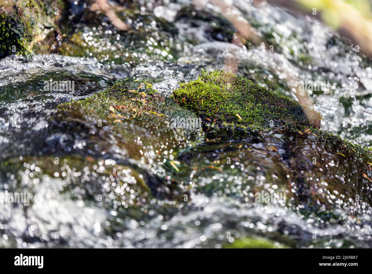 Bemooster Stein im glitzernden Wasser Stockfoto