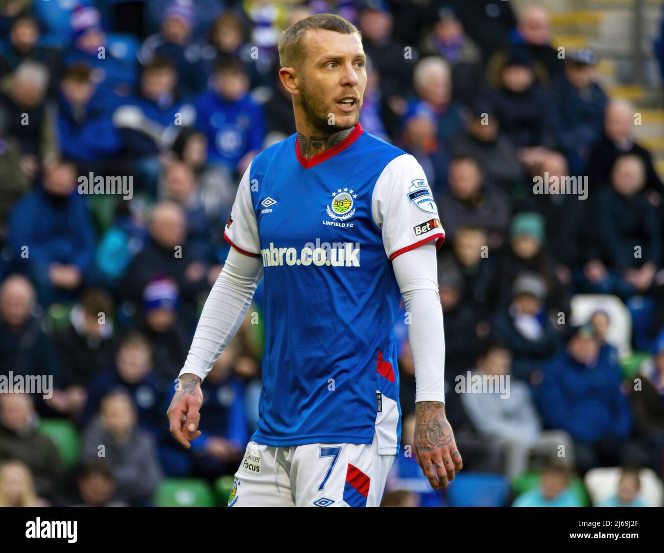 Linfield-Spieler Kirk Millar zeigte sich in Aktion bei einem Ligaspiel im Windsor Park, Belfast. Stockfoto