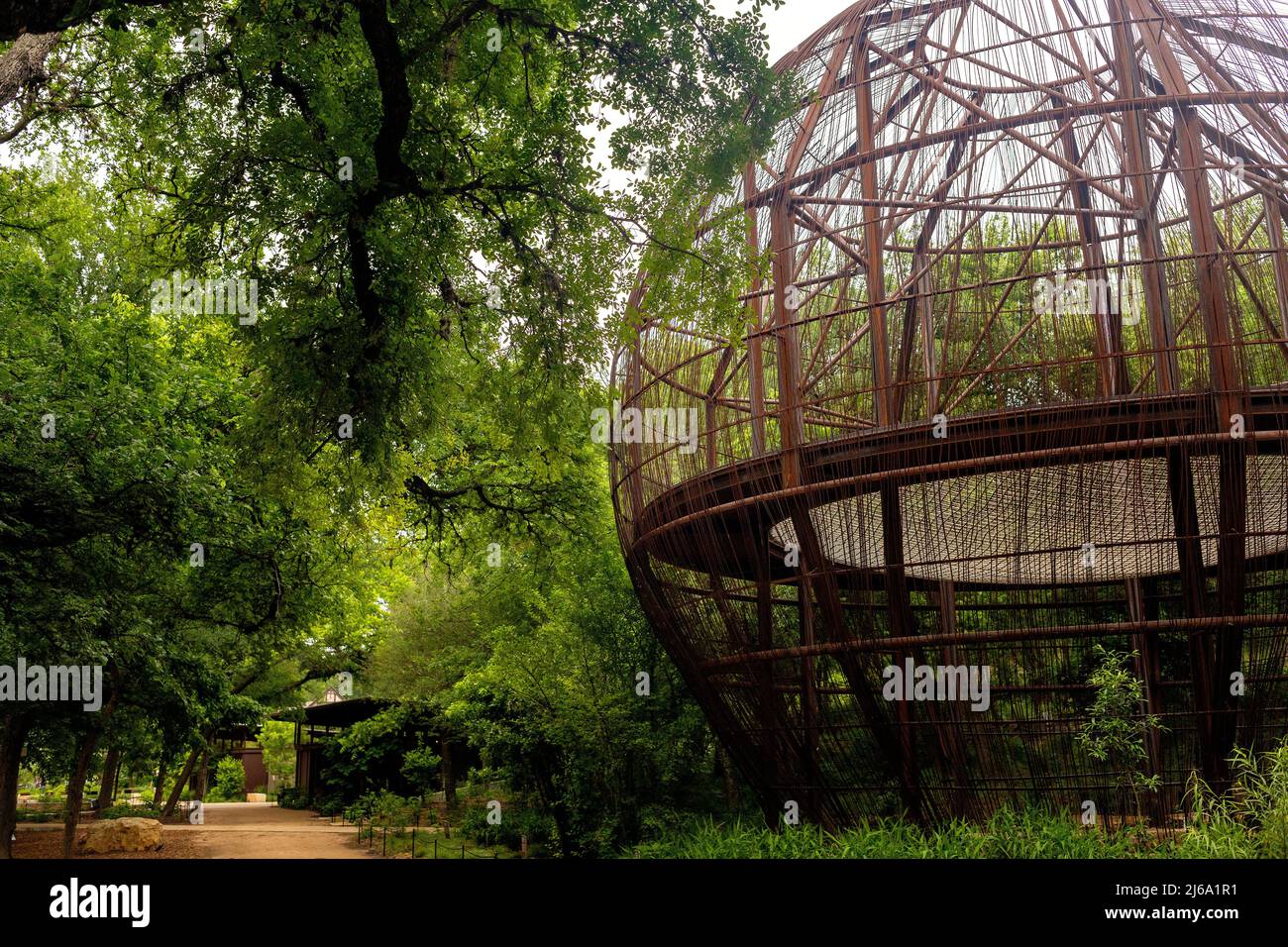 Pease Park, Austin, Texas, mit neuem Baumhaus Stockfoto