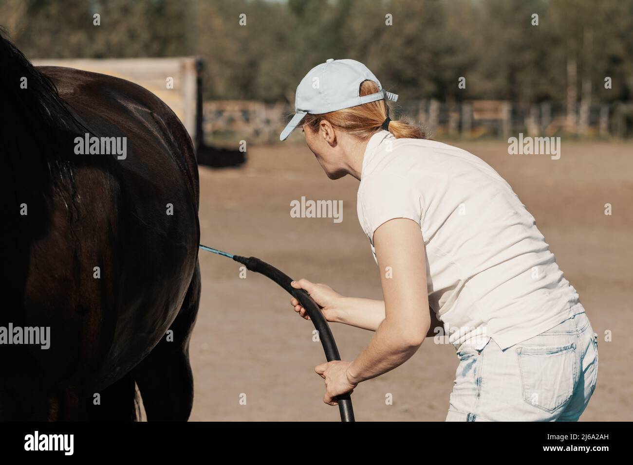 Kaukasische reife Frau, 40 Jahre alt, waschen schmutziges Pferd mit Schlauch im Freien. Stockfoto