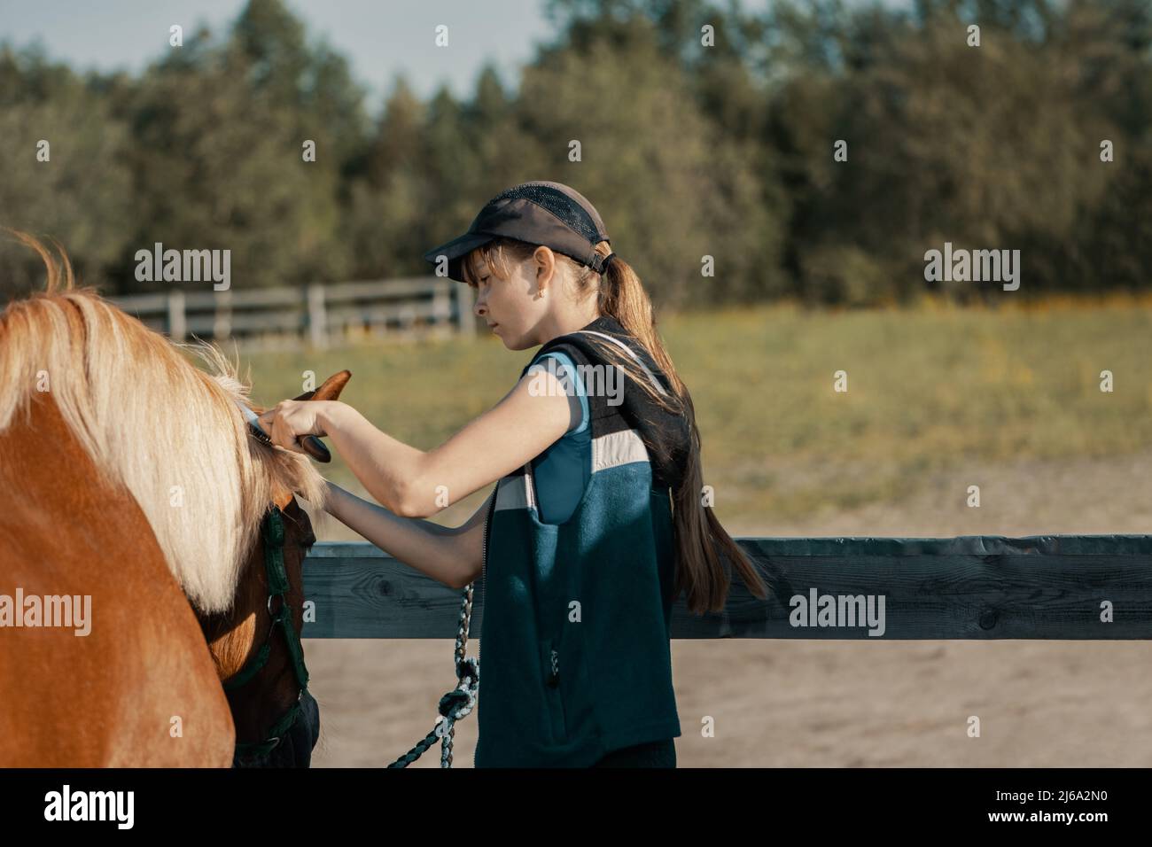 Teenager-Mädchen putzt Pferdemähe mit Mähne Bürste im Freien. Stockfoto