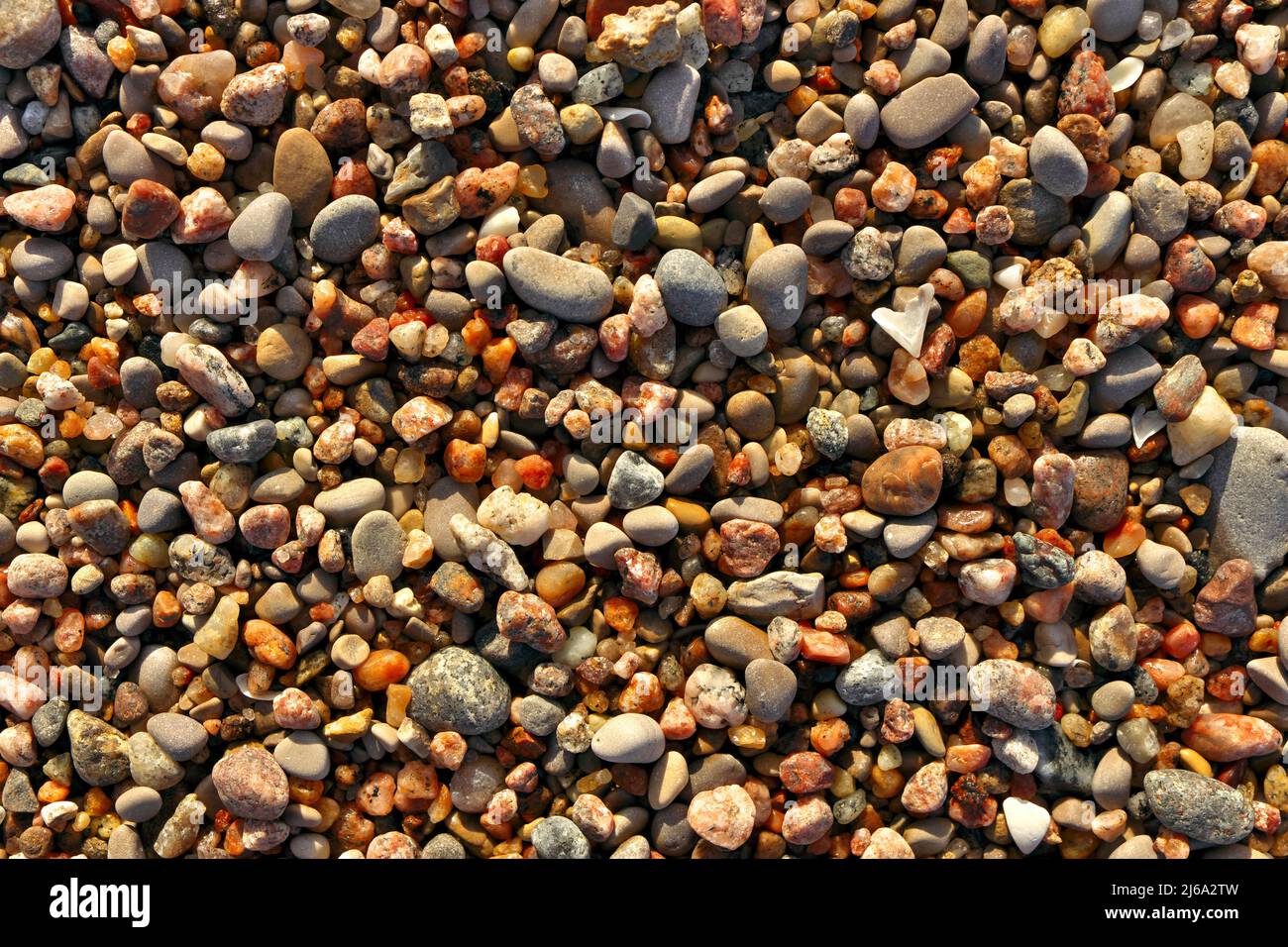 Verschiedene farbige Strandkiesel als Hintergrund oder Textur. Stockfoto