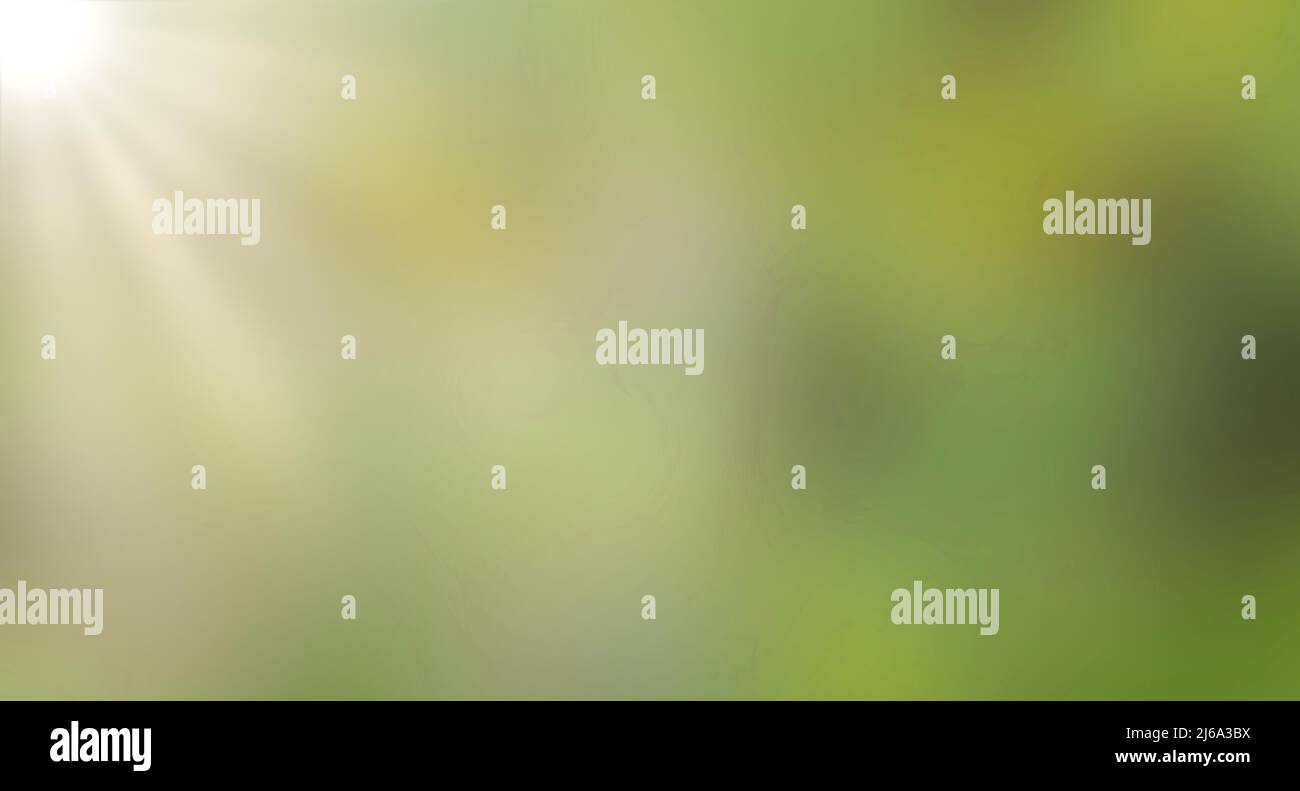 Grünes Bokeh verschwommener grüner Waldhintergrund und helle Sonnenstrahlen Stockfoto