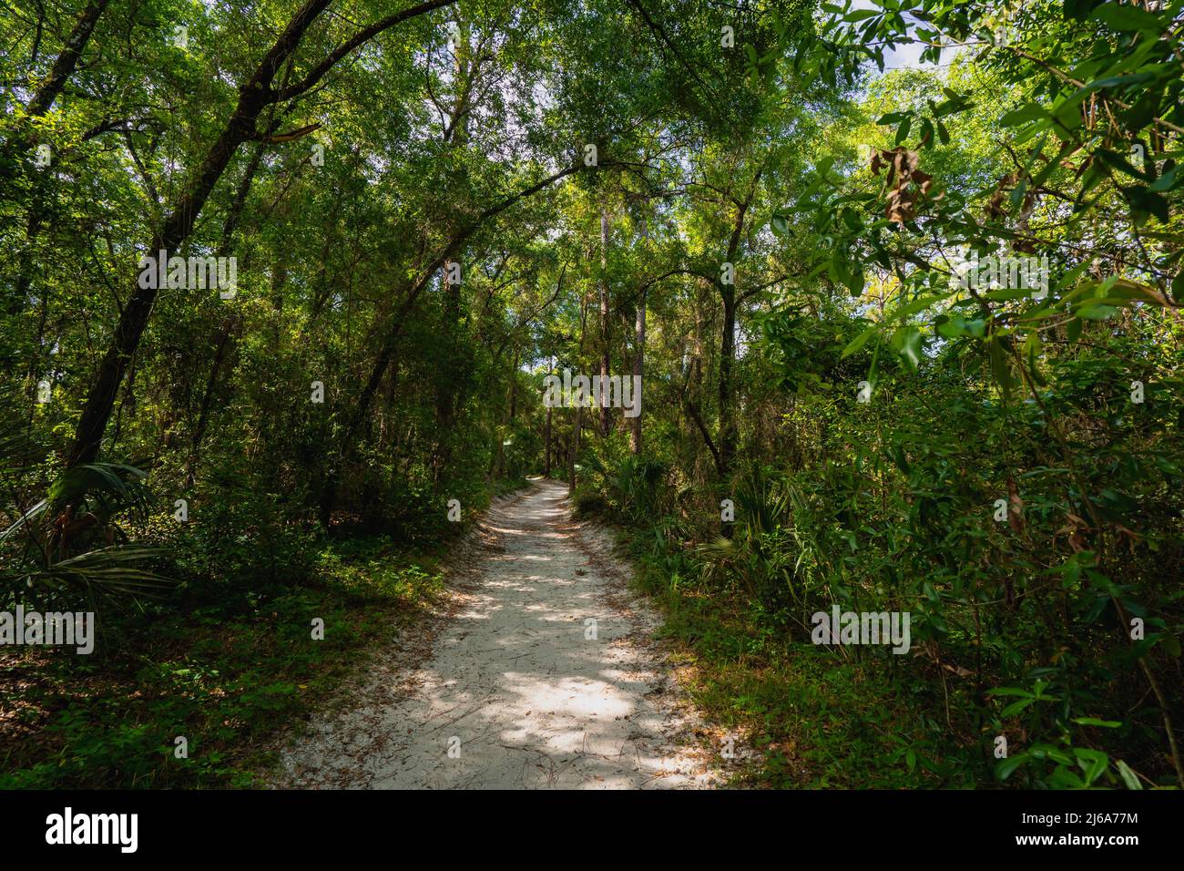 Wandern Naturlehrpfad Sanlando Freizeitpark in Altamonte Springs, FL Stockfoto