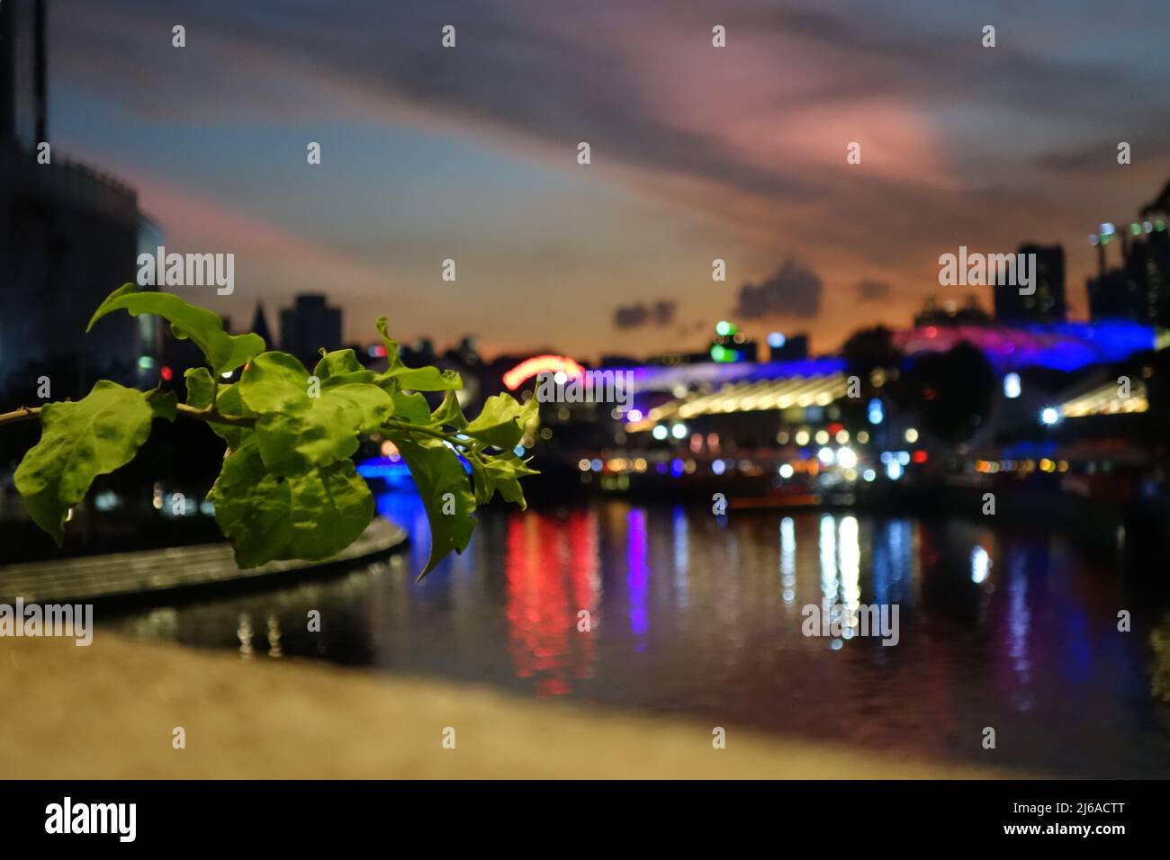 Verschwommener Blick auf Restaurants entlang eines Flusses mit einer fokussierten Branche im Vordergrund Stockfoto