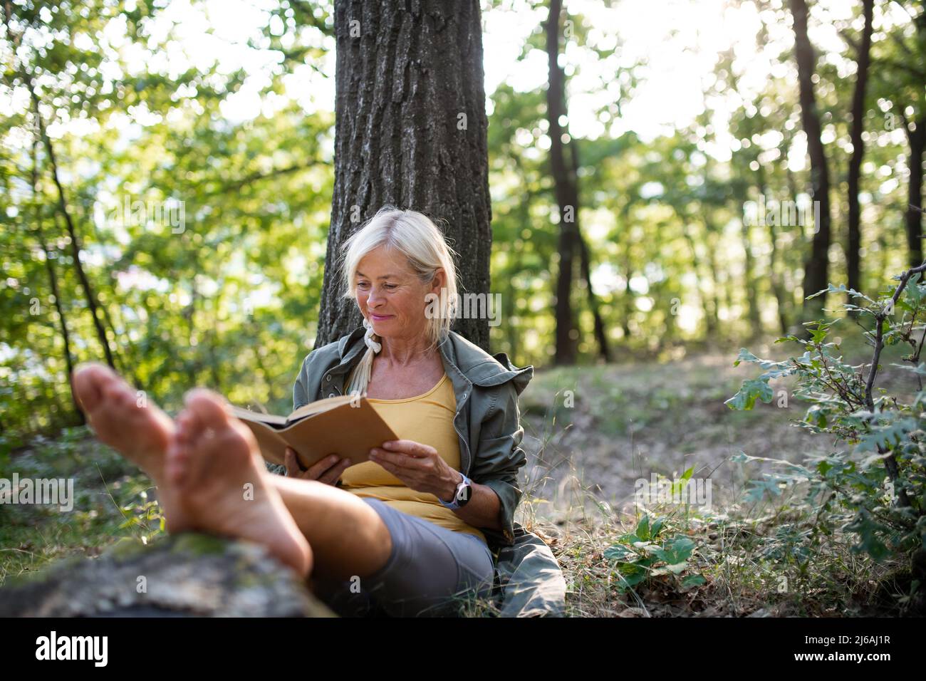 Ältere Frau entspannt und Buch im Freien im Wald lesen. Stockfoto