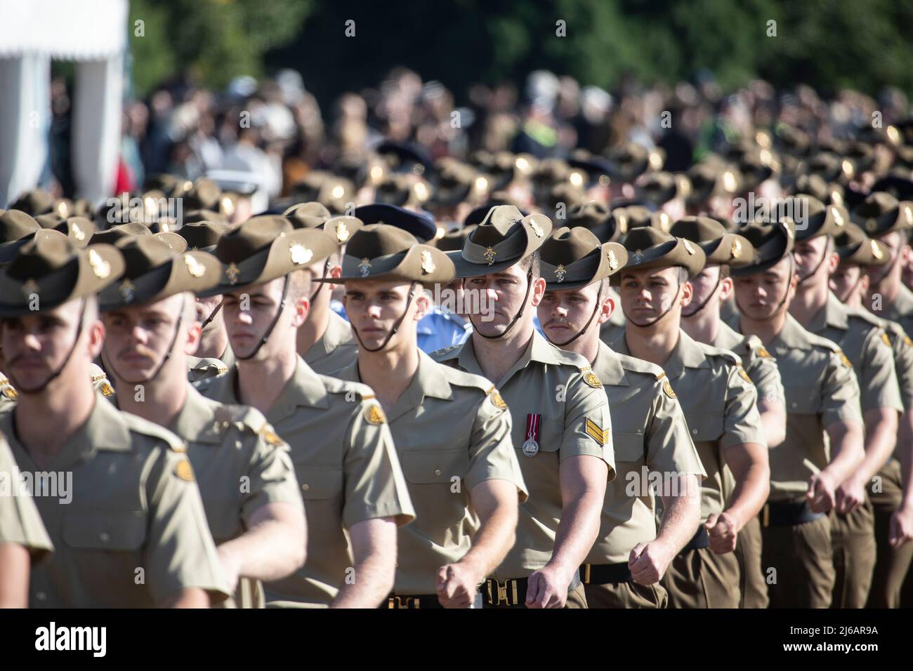 Melbourne Australien: Parade zum Anzac Day am Schrein der Erinnerung. ANZAC steht für das australische und neuseeländische Armeekorps. Stockfoto